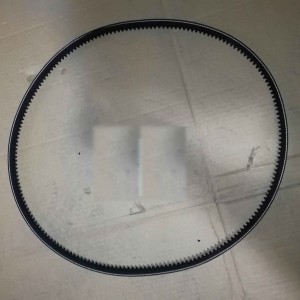 OEM/ODM Factory Diesel Fuel Filter Oil Filter - Sino truck parts  weichai 615 engine V-blet 61500060217 – RUIPO ENGINE PARTS