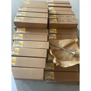 Intake Valve 4981692