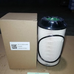 Leading Manufacturer for Heavy Duty Truck Zz1311n426ge1 Accessories -
 Sino truck parts   LZZ1BLSH5HA257857 sino fuel filter – RUIPO ENGINE PARTS