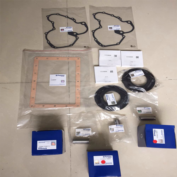 Leading Manufacturer for Air Filter Engine Cartridge - engine parts  perkins engine overhaul gasket – RUIPO ENGINE PARTS