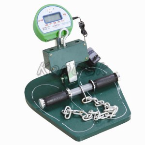 Factory Cheap Santana Speed Sensor - Back-leg-chest dynamometer – RUIPO ENGINE PARTS