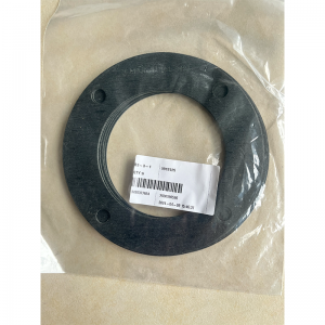 101-3125 Gasket