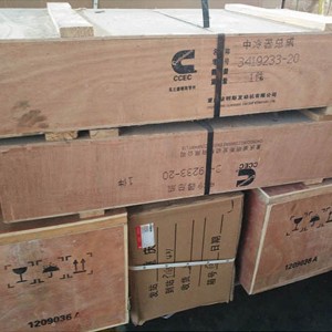 New Arrival China Constriction Equipments Air Filter - Engine parts  Cummins NTA855 intercooler 3419233 – RUIPO ENGINE PARTS