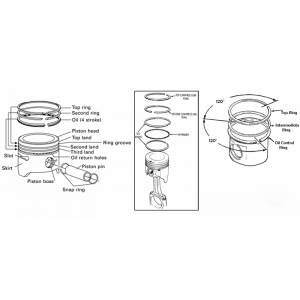 piston and piston ring